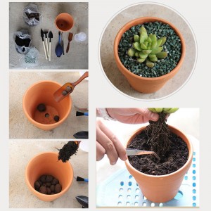 Pots de fleurs de plantes en terre cuite en céramique d'argile d'intérieur et d'extérieur colorés