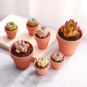 Plante de fleur décorative personnalisée succulente faible MOQ intérieur extérieur Mini pot en terre cuite d'argile