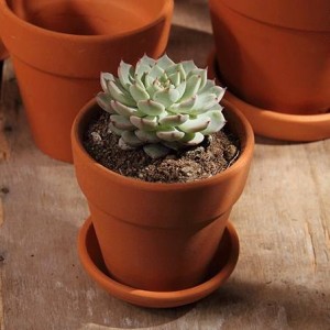 Mini ghivece din teracotă din lut Cactus Jardiniere din ceramică Ghivece suculente din teracotă cu găuri de drenaj