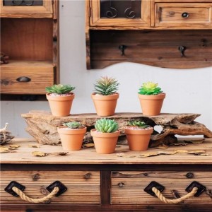 Mini maceta de terracota de arcilla para interiores y exteriores, MOQ bajo, planta de flores decorativas personalizadas suculentas