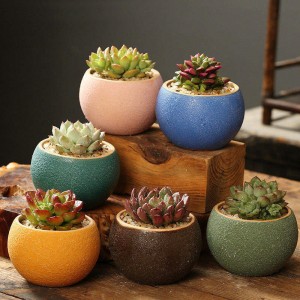 ceramic pots for plants plant pots glazed ceramic pot